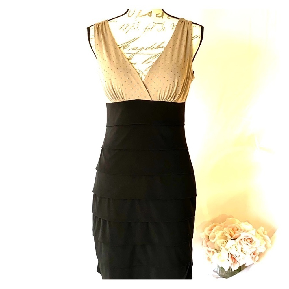 Enfocus Studio Sz 10 Black and Tan Dress